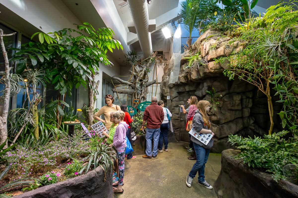 Wide-angle view of the north side of the Conservatory.